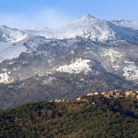 Casa Bonino Hotel Prunelli-di-Fiumorbo ภายนอก รูปภาพ