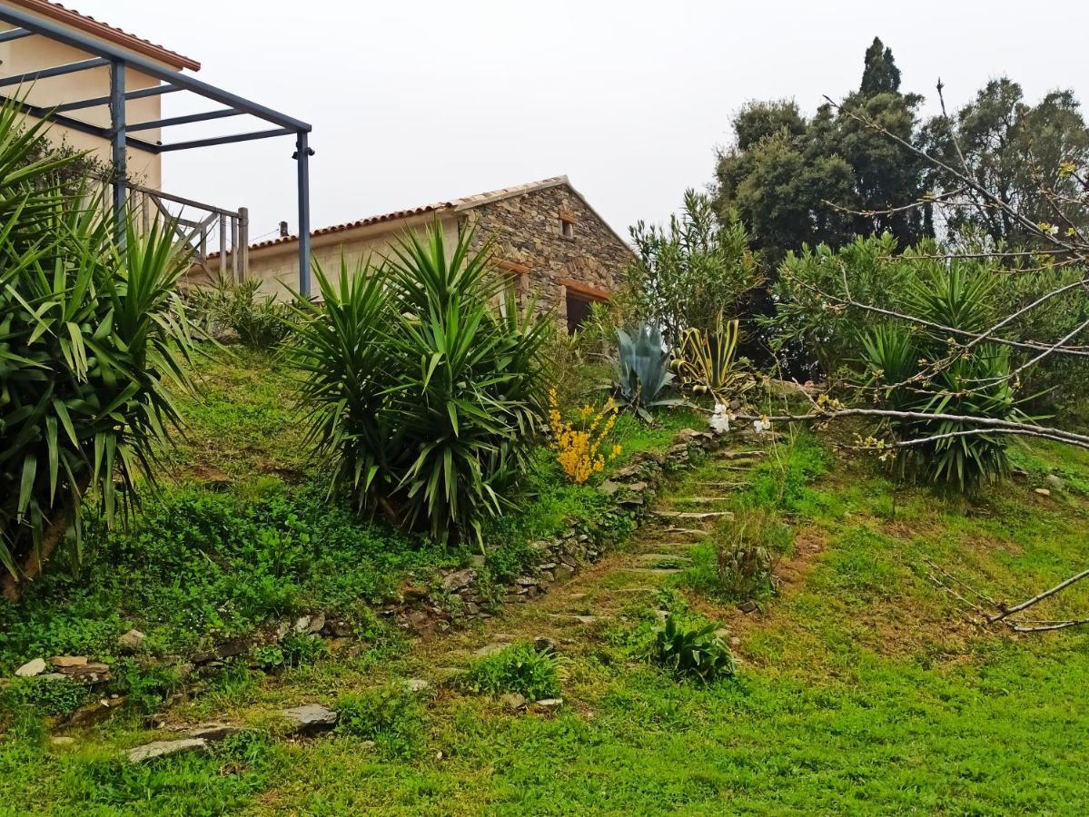 Casa Bonino Hotel Prunelli-di-Fiumorbo ภายนอก รูปภาพ